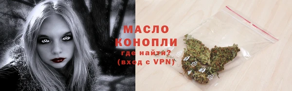 прущие грибы Михайлов
