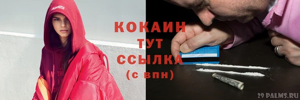 прущие грибы Михайлов