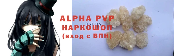 прущие грибы Михайлов