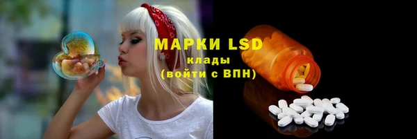 прущие грибы Михайлов