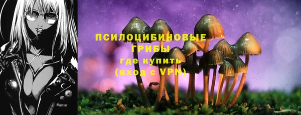 прущие грибы Михайлов