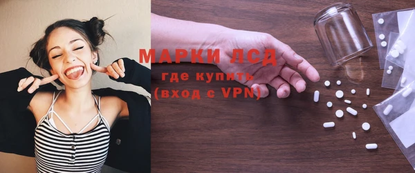прущие грибы Михайлов