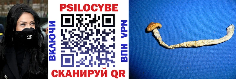 Псилоцибиновые грибы мухоморы  Ухта 